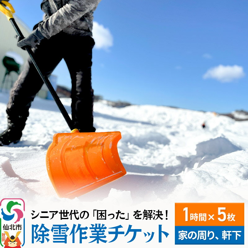 【ふるさと納税】シニア世代の「困った」を解決！除雪作業サービス利用チケット 1時間×5枚【家の周りや軒下の除雪作業にご利用可能】