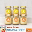 【ふるさと納税】<お中元 ギフト>あきたプリン亭 なめらか&レトロセット 6個入り