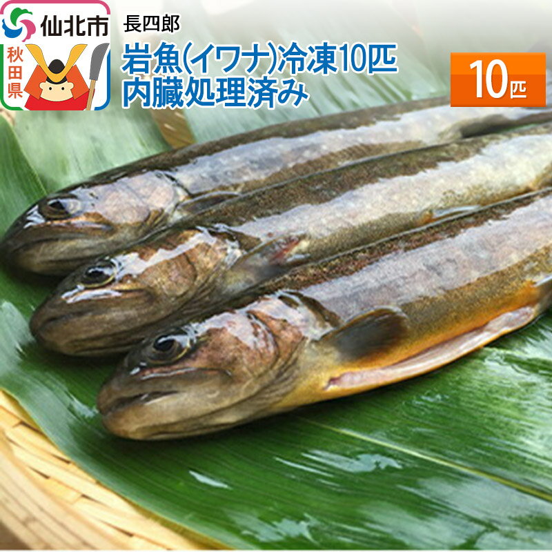 岩魚(イワナ)冷凍10匹 内臓処理済み 10匹