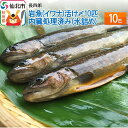 奥羽山系からの伏流水で育てた岩魚です。 日本では俗に「渓流の王様」とも呼ばれており、美しい水でしか育ちません。水揚げ後すぐに内臓を処理しますので、手軽に食べられます。 生産者から新鮮直送！定番の塩焼きや、骨酒、姿揚げ、甘露煮、BBQで食べるも良し、色々な食べ方でご賞味下さい。 氷をいれてお届けします。 ※画像はイメージです。 ※沖縄・離島への発送はお受けしておりません。 ※お届け予定日については、別途ご案内メールをいたしますので必ずご確認ください。 ※ご不在等により商品を受け取れなかった場合の再出荷は致しかねます。 ※生ものですので到着後は、なるべく早めにお召し上がり下さい。 ※消費期限は冷蔵2日程度です。 返礼品詳細 名称 岩魚 内容量 岩魚10匹（活け〆） サイズ：約16cm〜21cm 産地：秋田県仙北市 産地 秋田県仙北市産 配送方法 冷蔵配送 備考 ※画像はイメージです。 ※沖縄・離島への発送はお受けしておりません。 ※お届け予定日については、別途ご案内メールをいたしますので必ずご確認ください。 ※ご不在等により商品を受け取れなかった場合の再出荷は致しかねます。 ※生ものですので到着後は、なるべく早めにお召し上がり下さい。 ※消費期限は冷蔵2日程度です。 事業者 長四郎 ・寄付申込みのキャンセル、返礼品の変更・返品はできません。あらかじめご了承ください ・ふるさと納税よくある質問はこちら 類似返礼品はこちら14,000円14,000円13,000円8,000円320,000円100,000円140,000円200,000円210,000円新着返礼品はこちら2024/4/177,000円2024/4/1711,000円2024/4/1713,000円再販返礼品はこちら2024/4/2210,000円2024/4/2215,000円2024/4/178,000円2024/04/27 更新