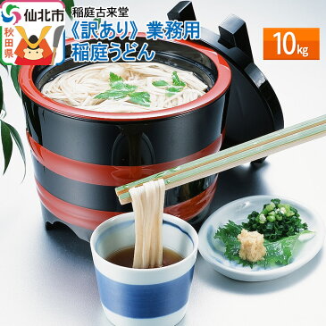 【ふるさと納税】稲庭古来堂 《訳あり》 業務用 稲庭うどん10kg