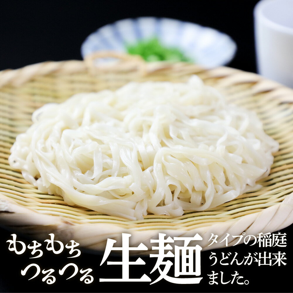 【ふるさと納税】稲庭古来堂 稲庭うどん 稲庭古来生うどん 200g×5パック 麺つゆ100ml×2本 伝統製法認定 稲庭古来うどん