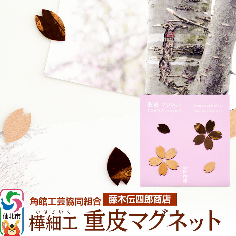 角館樺細工《藤木伝四郎商店》桜の花びらの形 重皮マグネット 角館工芸協同組合 ゆうパケット