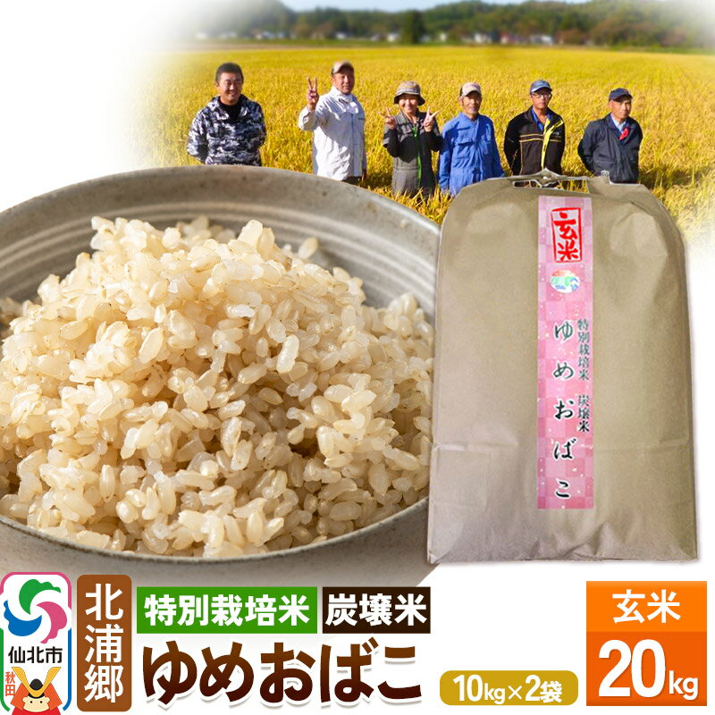 【ふるさと納税】【特別栽培米 炭壌米 ゆめおばこ】令和5年産