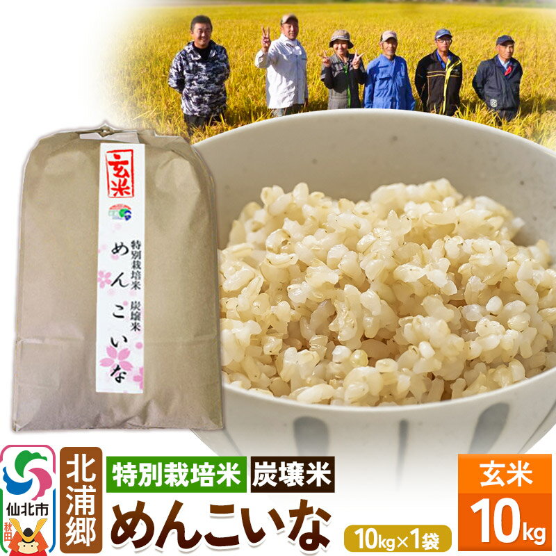 [特別栽培米 炭壌米 めんこいな]令和5年産 玄米 10kg