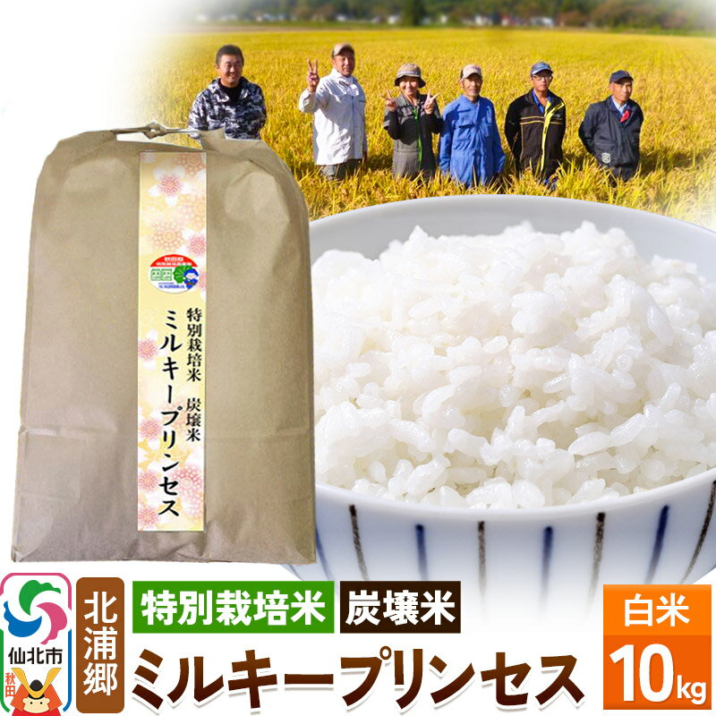 10位! 口コミ数「0件」評価「0」【特別栽培米 炭壌米 ミルキープリンセス】令和5年産 白米 10kg