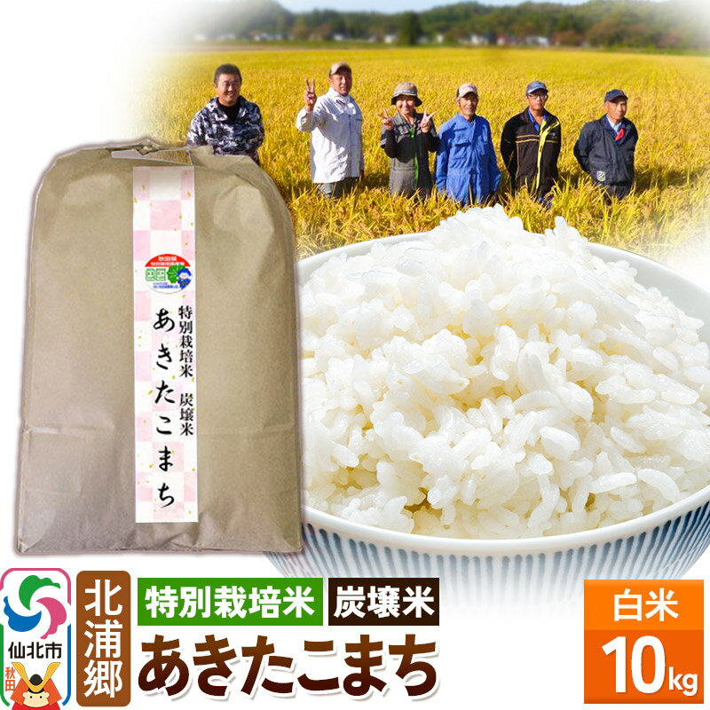 [特別栽培米 炭壌米 あきたこまち]令和5年産 白米 10kg