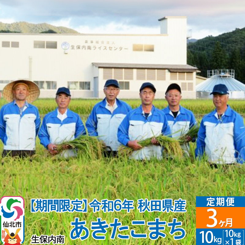 【ふるさと納税】《定期便3ヶ月》【白米】あきたこまち 10kg（10kg×1袋）×3回 令和6年産 新米予約 精米 秋田県仙北市産 10キロのサムネイル