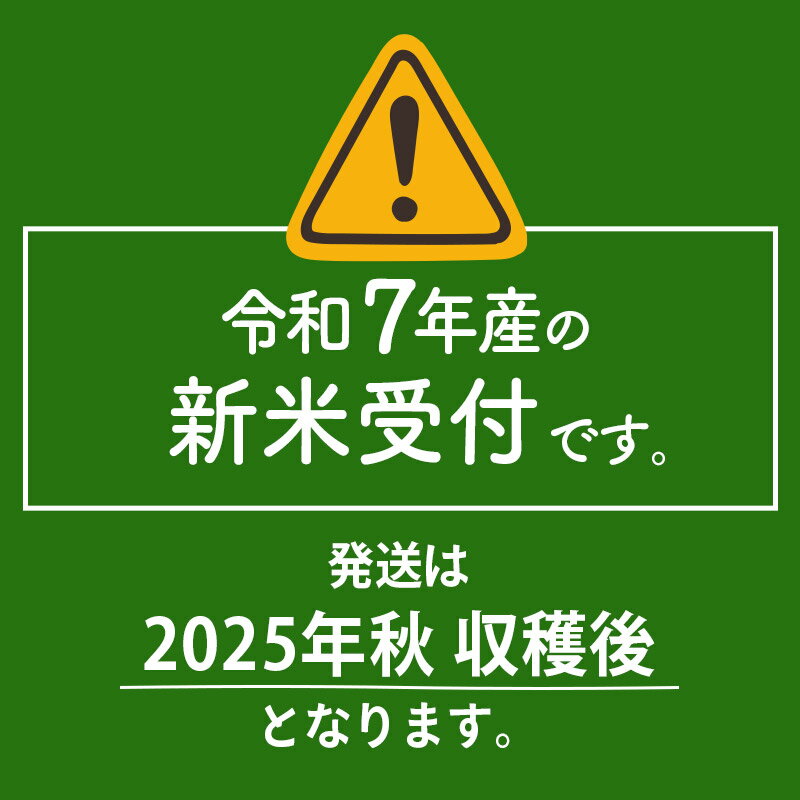 【ふるさと納税】〈令和7年産〉【白米／玄米】サキホコレ 5kg (5kg×1袋) 秋田県産 特別栽培米 令和7年産 お米【1回のみお届け】