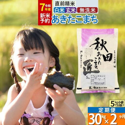 【ふるさと納税】【白米/玄米/無洗米】※R7新米予約※《定期便2ヶ月》秋田県産 あきたこまち 30kg (5kg×6袋)×2回 令和7年産 お米 新米 【ふるさと納税】【白米/玄米/無洗米】※R7新米予約※《定期便2ヶ月》秋田県産 あきたこまち 30kg (5kg×6袋)×2回 令和7年産 お米 新米