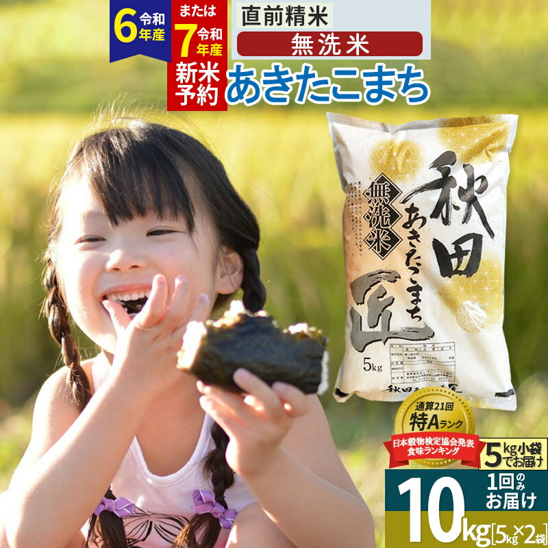 【ふるさと納税】【無洗米】秋田県産 あきたこまち 10kg (5kg×2袋) 令和4年産 一等米 10キロ お米のサムネイル