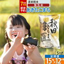 【ふるさと納税】【無洗米】※R7新米予約※《定期便12ヶ月》秋田県産 あきたこまち 15kg (5kg×3袋) ×12回 令和7年産 お米 新米