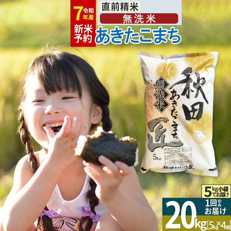 【ふるさと納税】【無洗米】＜新米＞秋田県産 あきたこまち 20kg (5kg×4袋) 令和5年産 配送時期選べる お米のサムネイル