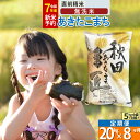 【ふるさと納税】【無洗米】※R7新米予約※《定期便8ヶ月》秋田県産 あきたこまち 20kg (5kg×4袋) ×8回 令和7年産 お米 新米