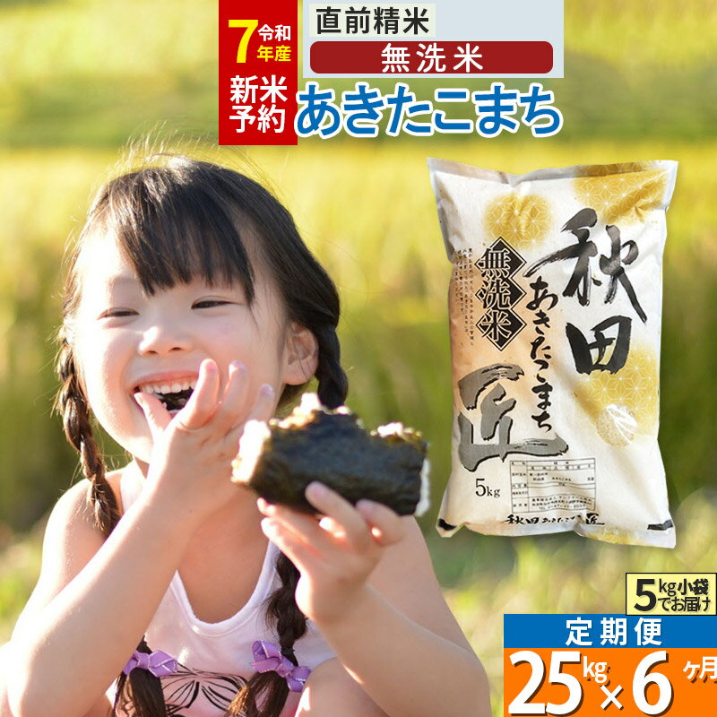 【ふるさと納税】【無洗米】※R7新米予約※《定期便6ヶ月》秋田県産 あきたこまち 25kg (5kg×5袋) ×6回 令和7年産 周期調整OK 隔月配送OK お米 新米