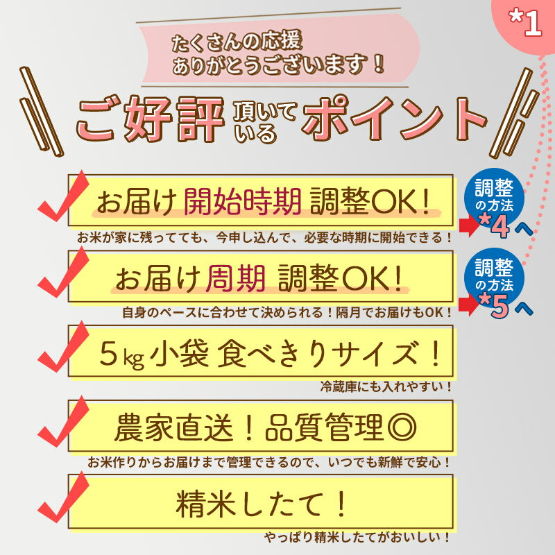 【ふるさと納税】【無洗米】《定期便10ヶ月》秋田県産 あきたこまち 30kg (5kg×6袋) ×10回 令和5年産 発送時期が選べる 周期調整OK 隔月配送OK お米 令和6年産新米予約もあり