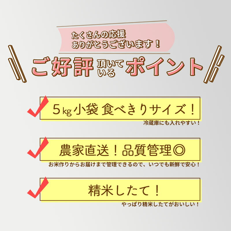 【ふるさと納税】【白米/玄米/無洗米】※新米予約※秋田県産 あきたこまち 20kg (5kg×4袋) 令和6年産 20キロ お米