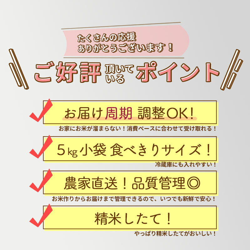 【ふるさと納税】【無洗米】※新米予約※《定期便2ヶ月》秋田県産 あきたこまち 5kg (5kg×1袋) ×2回 令和6年産 周期調整OK 隔月配送OK お米