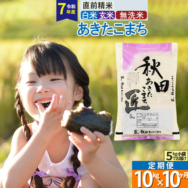 【ふるさと納税】【白米／玄米／無洗米】※R7※《定期便10ヶ月》秋田県産 あきたこまち 10kg (5kg×2袋)×1..