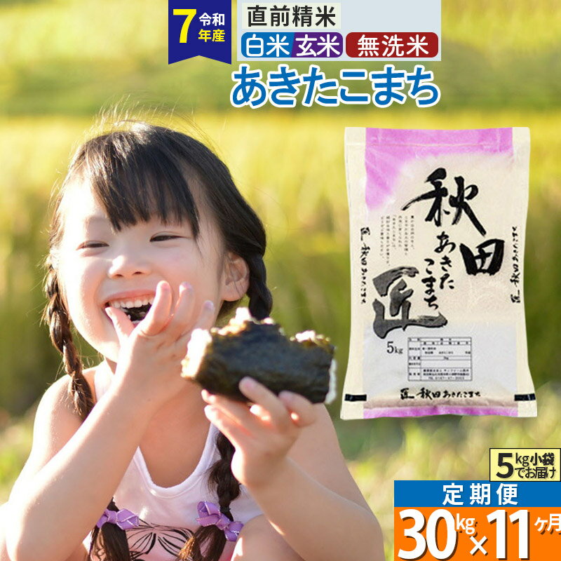【ふるさと納税】【白米／玄米／無洗米】※R7※《定期便11ヶ月》秋田県産 あきたこまち 30kg (5kg×6袋)×11回 令和7年産 お米 匠