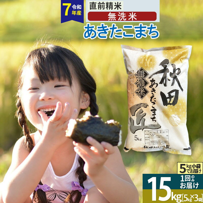 【ふるさと納税】【無洗米】※R7※秋田県産 あきたこまち 15kg (5kg×3袋) 令和7年産 お米 匠