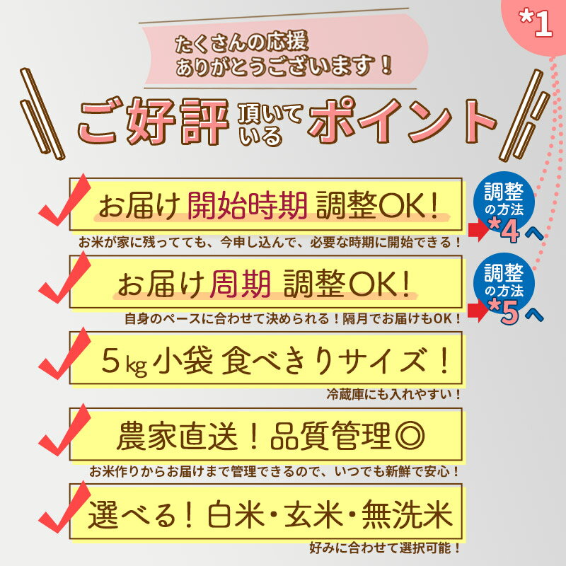 【ふるさと納税】【白米/玄米/無洗米 選べる】《定期便9ヶ月》秋田県産 あきたこまち 10kg (5kg×2袋)×9回 計90kg 令和3年産 時期選べる新米 令和4年 一等米 9か月 9ヵ月 9カ月 9ケ月 10キロ お米 新米予約