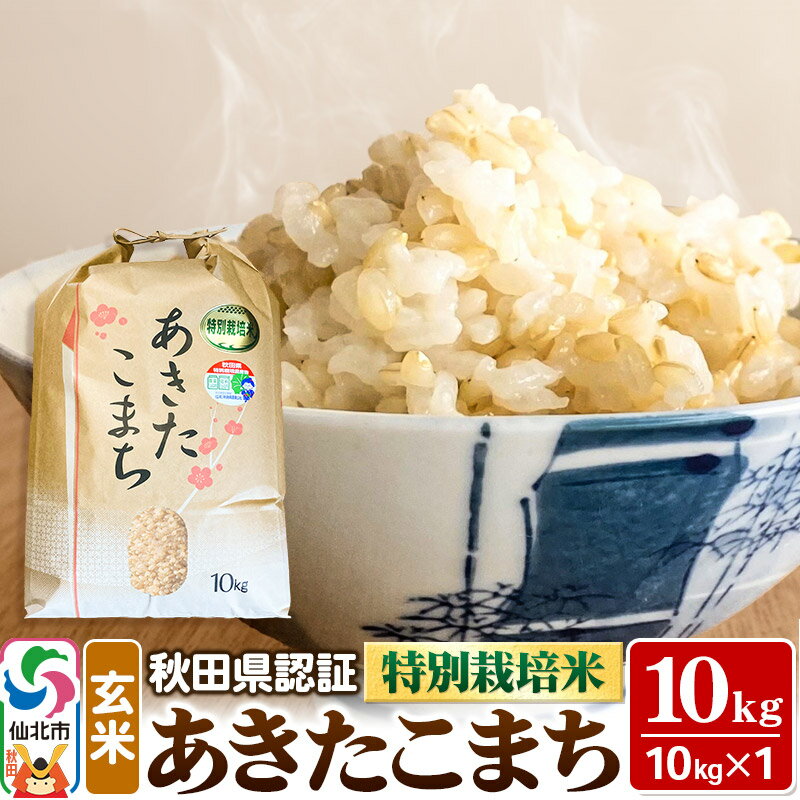 米 秋田県認証 特別栽培米 あきたこまち(玄米)10kg 10kg×1袋 令和5年産