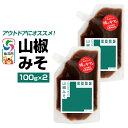 【ふるさと納税】山椒みそ(パウチ)100g×2個 ゆうパケット