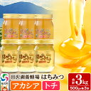【ふるさと納税】秋田県産はちみつ(アカシア・トチ)500g×各3本 合計3kg 化粧箱入り 詰め合わせセット 田沢湖養蜂場