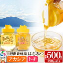 【ふるさと納税】秋田県産はちみつ(アカシア・トチ)250g×各1本 合計500g 化粧箱入り 詰め合わせセット 田沢湖養蜂場
