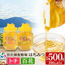 【ふるさと納税】秋田県産はちみつ(トチ・百花)250g×各1本 合計500g 化粧箱入り 詰め合わせセット 田沢湖養蜂場