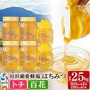 【ふるさと納税】秋田県産はちみつ(トチ・百花)250g×各1本・500g×各2本 合計2.5kg 化粧箱入り 詰め合わせセット 田沢湖養蜂場