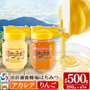 【ふるさと納税】秋田県産はちみつ(アカシア・リンゴ)250g×各1本 合計500g 化粧箱入り 詰め合わせセット 田沢湖養蜂場
