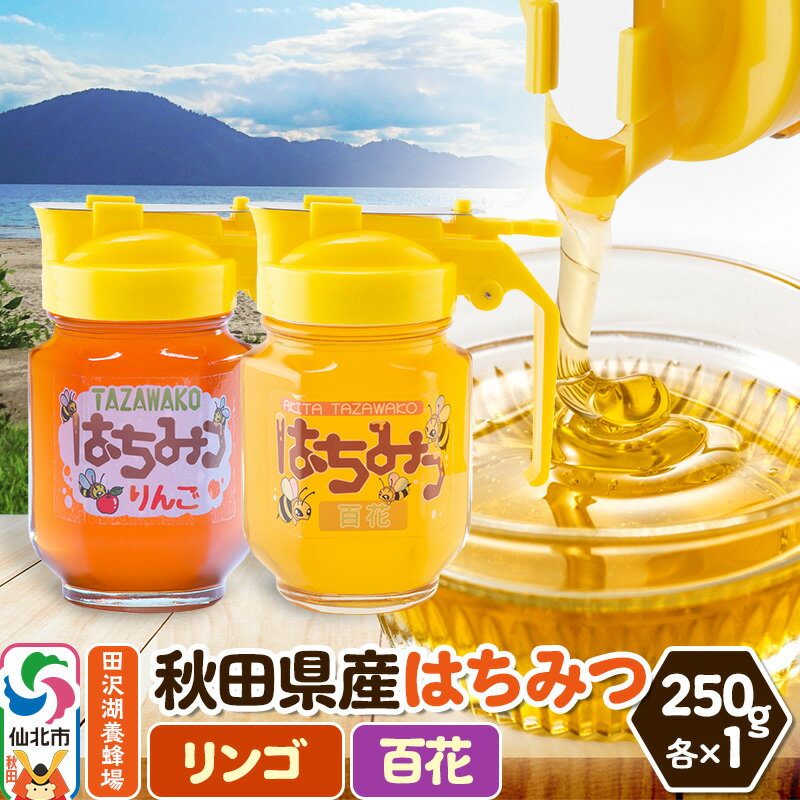 【ふるさと納税】秋田県産はちみつ（リンゴ・百花）250g×各1本 化粧箱入り 詰め合わせセット 田沢湖養..