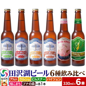 【ふるさと納税】世界一受賞入り 田沢湖ビール6種飲み比べ 6本セット