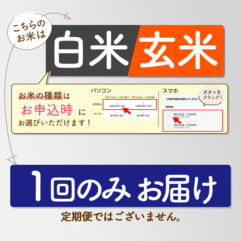 【ふるさと納税】【白米/玄米 選べる】令和5年産 仙北市産 おばこの匠 20kg（2kg×10袋）秋田県産あきたこまち 秋田こまち 発送時期が選べる