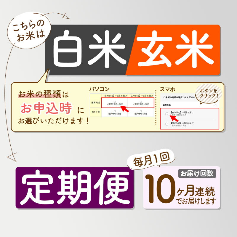 【ふるさと納税】【白米/玄米 選べる】《定期便10ヶ月》令和5年産 仙北市産 おばこの匠 10kg（2kg×5袋）×10回 計100kg 秋田県産あきたこまち 10か月 10ヵ月 10カ月 10ケ月 秋田こまち お米 発送時期が選べる