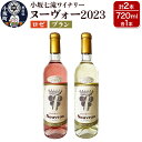 21位! 口コミ数「0件」評価「0」小坂七滝ワイナリー ヌーヴォー2023 2本セット(ロゼ・ブラン 720ml×各1本)お酒 秋田県 小坂町