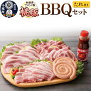 【ふるさと納税】桃豚BBQセット たれ付き 豚肉 秋田県 小坂町