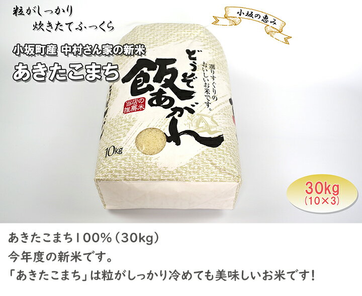 【ふるさと納税】 小坂の恵み（中村さん家のあきたこまち30kg）