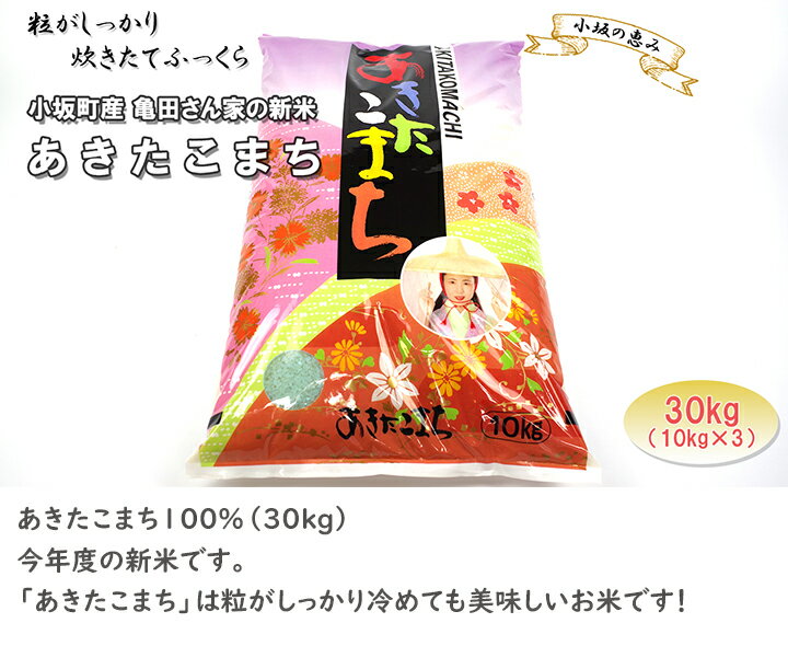 【ふるさと納税】 小坂の恵み（亀田さん家のあきたこまち30kg）