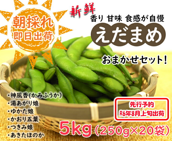 【ふるさと納税】えだまめ おまかせセット　5kg　先行予約(令和6年8月上旬から発送）