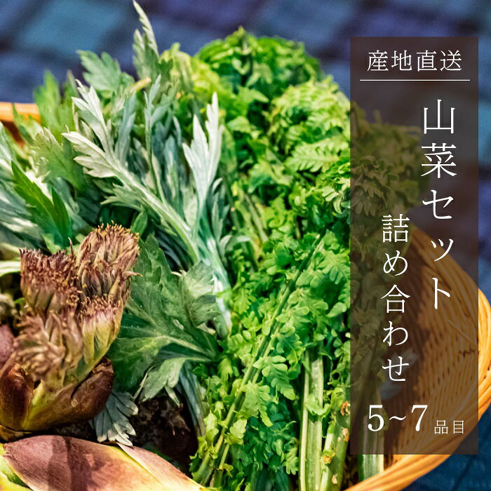 【ふるさと納税】5月 山菜詰合せ（5～7品程度）　【野菜・山菜】　お届け：2024年4月20日～2024年5月15日