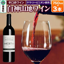 【ふるさと納税】白神山地ワイン（赤ワイン750ml×3本）