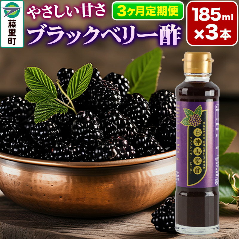 【ふるさと納税】ブラックベリー酢 計3本×3回お届け （185ml×3本）【定期便3ヶ月】