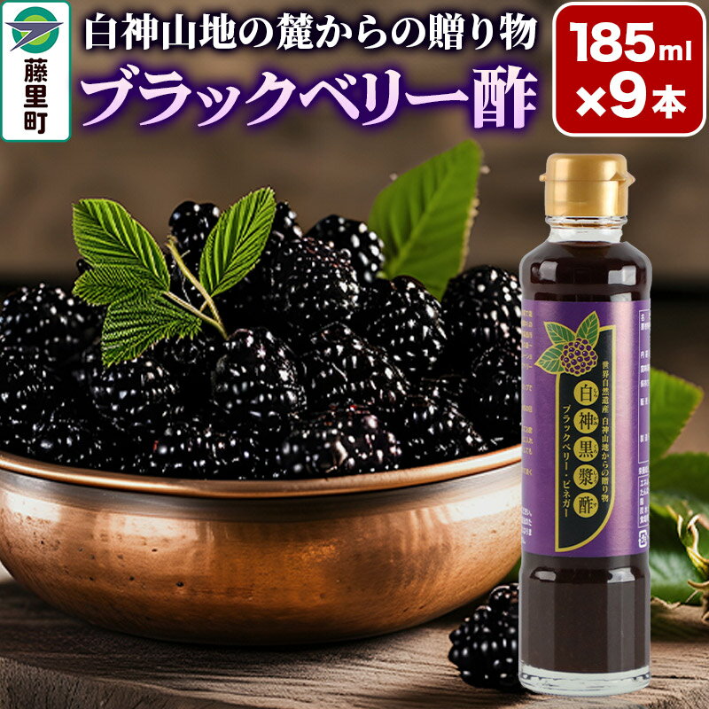 お酢飲料人気ランク9位　口コミ数「0件」評価「0」「【ふるさと納税】ブラックベリー酢（185ml×3本）3セット」