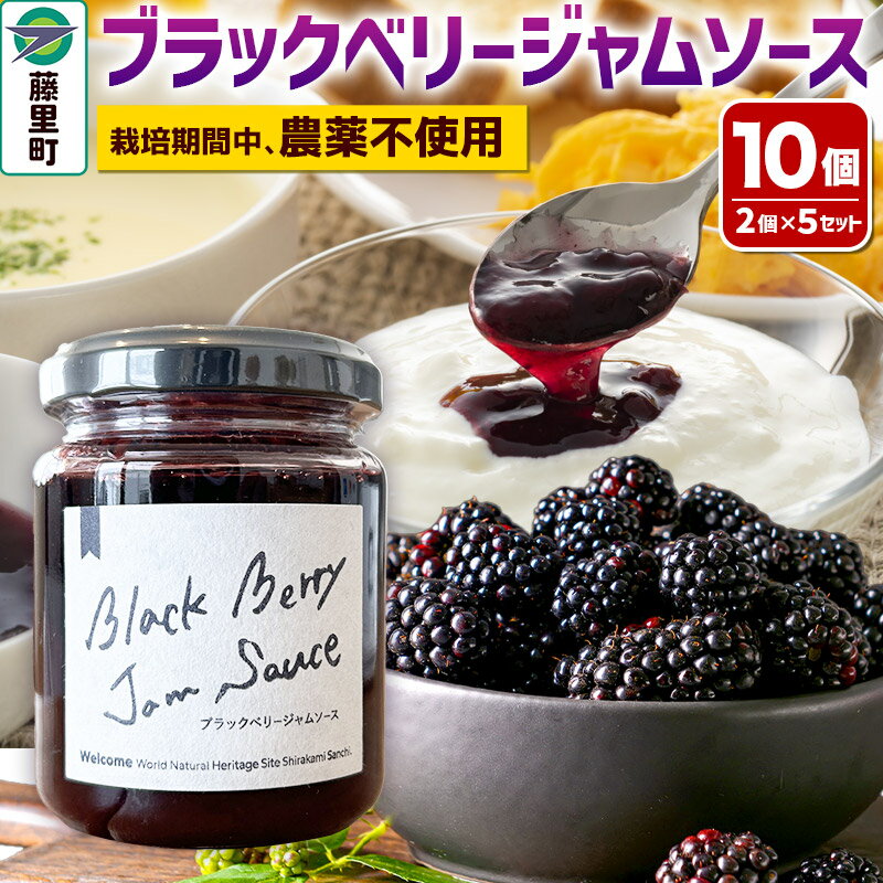 【ふるさと納税】ブラックベリージャムソース 合計10個 2個入×5セット