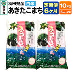 【ふるさと納税】【定期便6ヶ月】秋田県産 あきたこまち【白米10kg】5kg×2袋