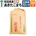 【ふるさと納税】【定期便12ヶ月】秋田県産 あきたこまち【玄米】30kg×1袋