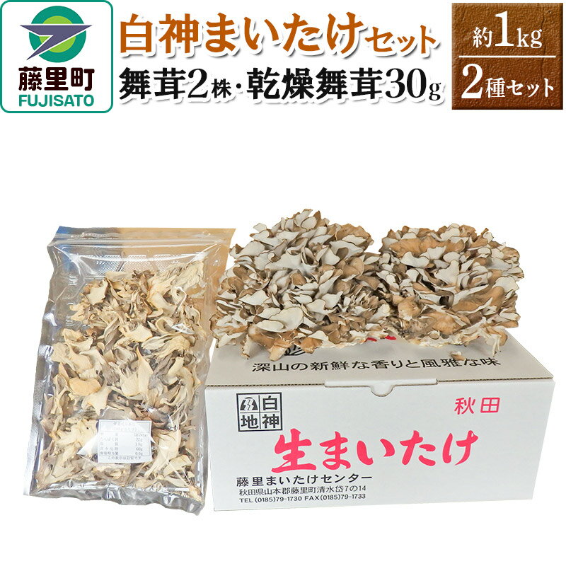 【ふるさと納税】白神まいたけセット(舞茸2株、乾燥舞茸30g)約1kg